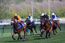 Race 2 - Free Love (4)