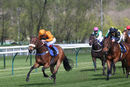 Race 2 - Free Love (5)