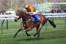 Race 2 - Free Love (7)