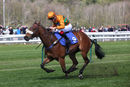 Race 2 - Free Love (9)