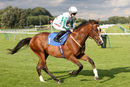 Race 2 - Gallaside (2)
