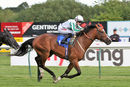 Race 2 - Gallaside (8)