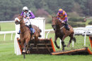 Race 2 - General Custard (6)