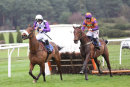 Race 2 - General Custard (7)