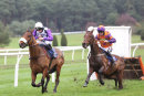 Race 2 - General Custard (8)