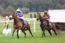 Race 2 - General Custard (9)