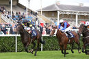Race 2 - General Panic (4)