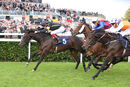Race 2 - General Panic (8)