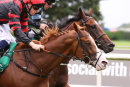 Race 2 - Get The Rhythm (11)
