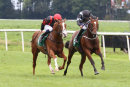 Race 2 - Get The Rhythm (4)