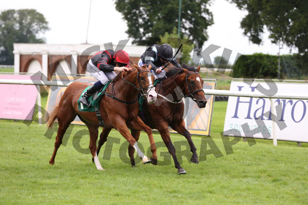 Race 2 - Get The Rhythm (5)