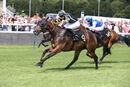 Race 2 - Glorious Rio (10)