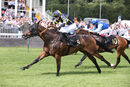 Race 2 - Glorious Rio (11)