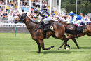 Race 2 - Glorious Rio (12)