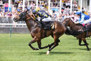 Race 2 - Glorious Rio (13)
