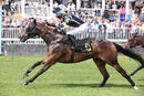 Race 2 - Glorious Rio (15)
