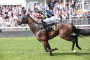 Race 2 - Glorious Rio (16)
