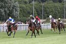 Race 2 - Glorious Rio (2)