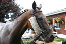 Race 2 - Grapevine (12)