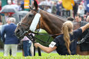 Race 2 - Grapevine (2)
