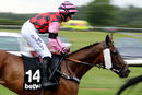 Race 2 - Grapevine (3)