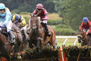 Race 2 - Grapevine (4)