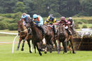 Race 2 - Grapevine (6)