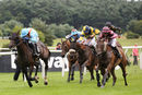 Race 2 - Grapevine (7)
