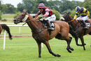 Race 2 - Grapevine (8)