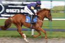 Race 2 - Half Bolly (2)