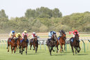 Race 2 - Hallalulu (3)