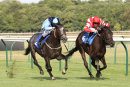 Race 2 - Hallalulu (4)