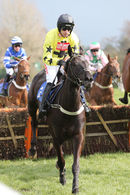 Race 2 - Harambe (3)