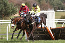 Race 2 - Harambe (5)