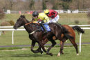 Race 2 - Harambe (6)