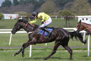 Race 2 - Harambe (8)