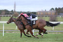 Race 2 - Hometown Hero (4)