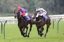 Race 2 - Hooroo (5)