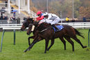 Race 2 - Hooroo (8)