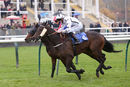 Race 2 - Hooroo (9)