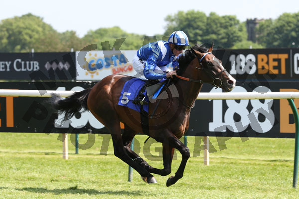 Race 2 - Ibraz (5)