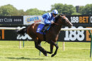 Race 2 - Ibraz (5)
