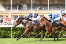 Race 2 - Indian Dream (5)