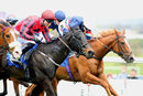 Race 2 - Indian Falcon (4)