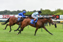 Race 2 - Intellect (11)