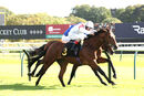 Race 2 - Irish Legend (11)