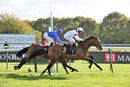 Race 2 - Irish Legend (14)