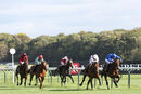 Race 2 - Irish Legend (4)
