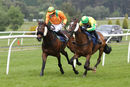 Race 2 - Istimraar (5)