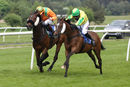 Race 2 - Istimraar (6)